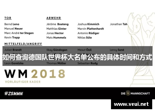如何查询德国队世界杯大名单公布的具体时间和方式