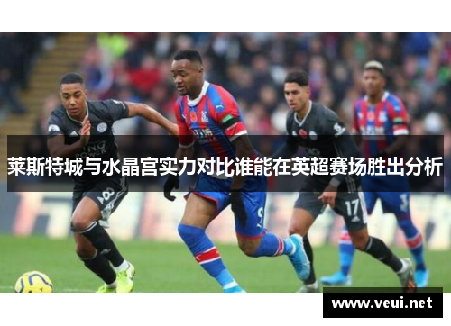 莱斯特城与水晶宫实力对比谁能在英超赛场胜出分析