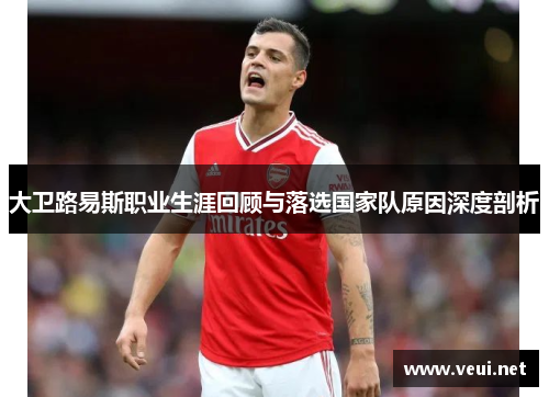 大卫路易斯职业生涯回顾与落选国家队原因深度剖析