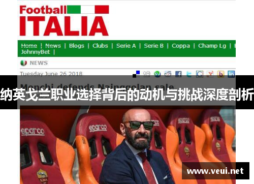 纳英戈兰职业选择背后的动机与挑战深度剖析