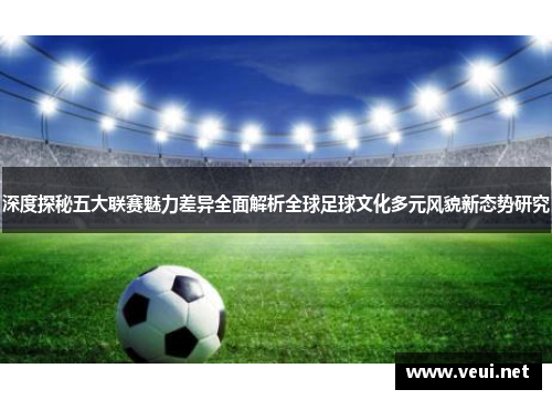 深度探秘五大联赛魅力差异全面解析全球足球文化多元风貌新态势研究